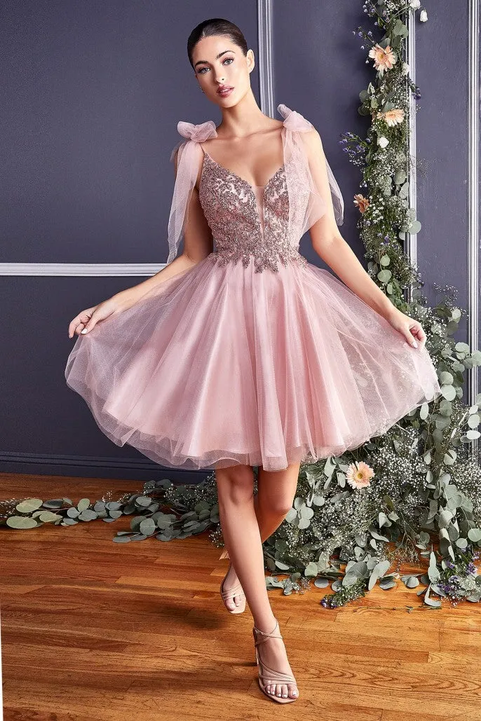 Adore You | A Line Short Tulle Dress | LaDivine CD0174